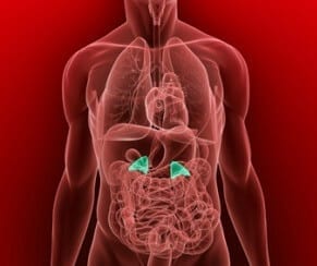 Traditional Chinese Medicine Can Help Adrenal Fatigue