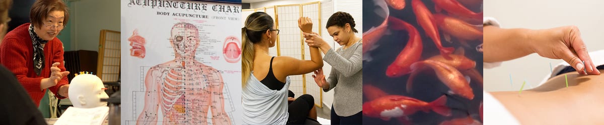 acupuncture school chicago banner
