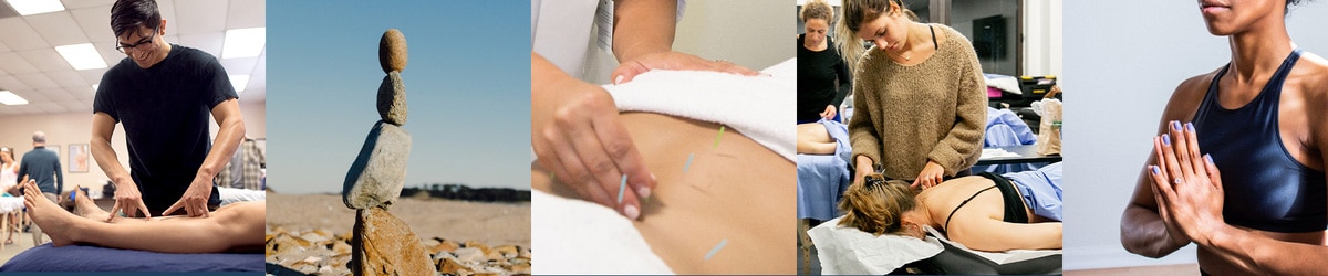 acupuncture school new york banner