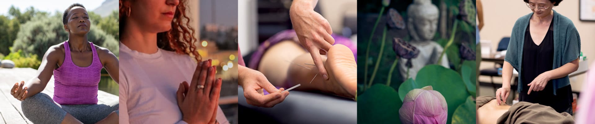 acupuncture school san diego banner