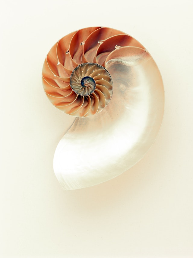 On the Shoulders of Giants: Gleaning Clinical Pearls from Unknown Clinicians