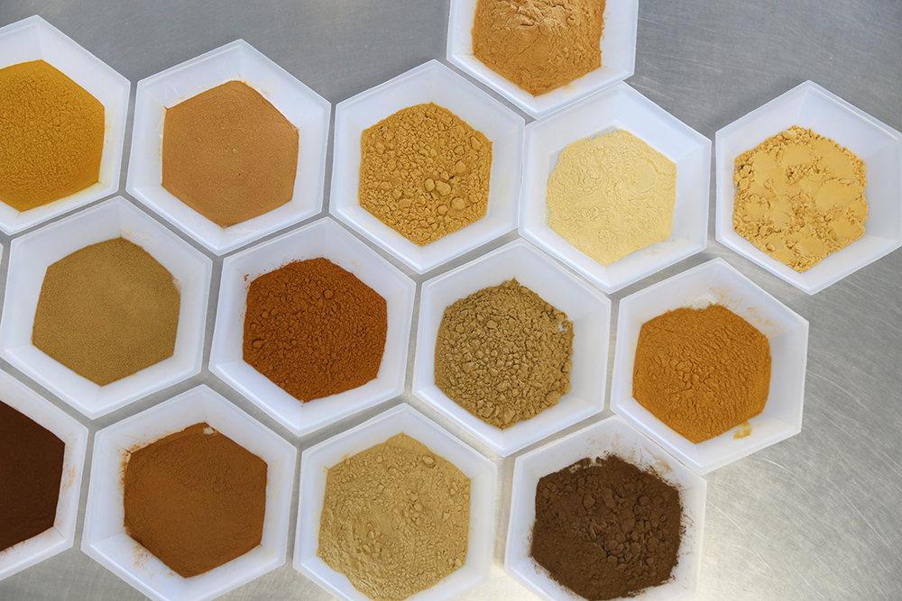 Deep Dive into Extract Powders & Granules